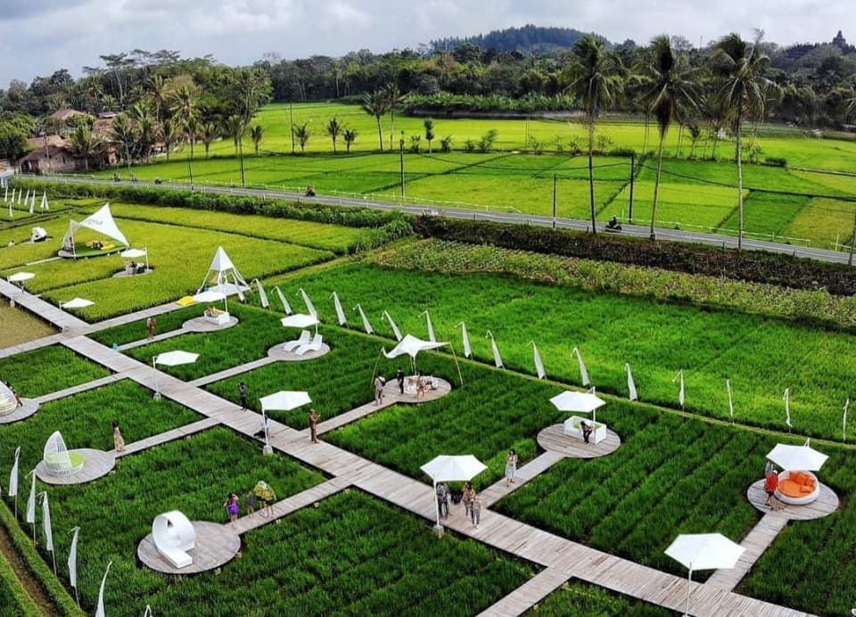 Svargabumi Borobudur, spot instagramable di area persawahan