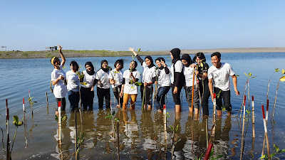 Kawasan Konservasi Mangrove Baros