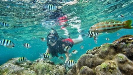 Snorkeling-Pantai-Nglambor-Gunung-Kidul-Jogja