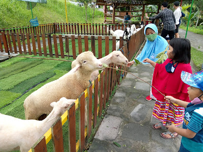 Jogja Exotarium Mini Zoo