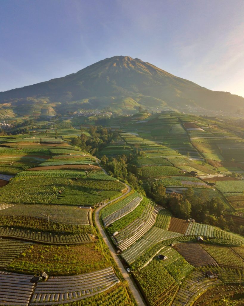 Negeri Sayur Sukomakmur Magelang