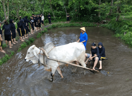 Desa Wisata Pentingsari