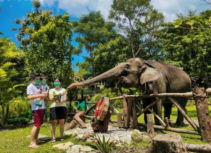 Gembira Loka adalah salah satu kebun binatang terbaik di Indonesia yang cocok buat wisata keluarga